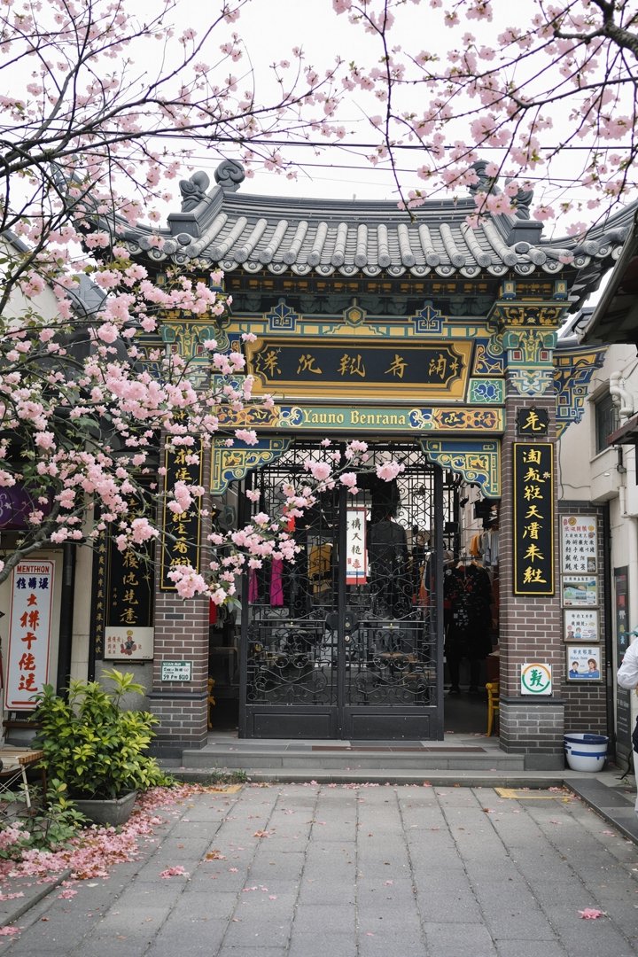电影《桃花源记》海报，桃花林尽头的隐世村落